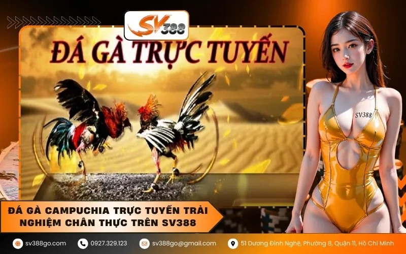 Đá gà Campuchia trực tuyến Trải nghiệm chân thực trên SV388