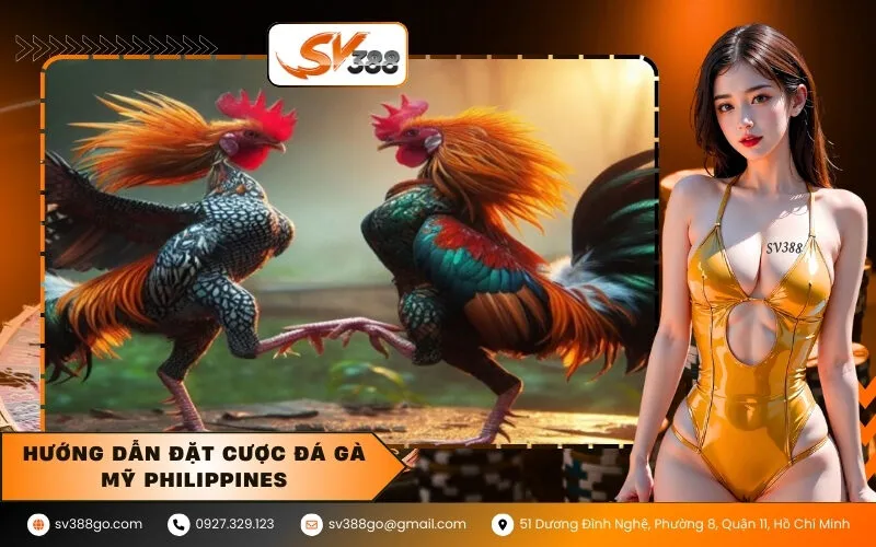 Hướng dẫn Đặt cược đá gà Mỹ Philippines