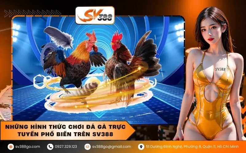 Những hình thức chơi Đá gà trực tuyến phổ biến trên SV388